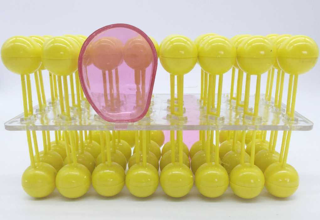 細(xì)胞膜流動(dòng)鑲嵌模型組件